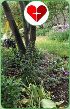 Garden Walk